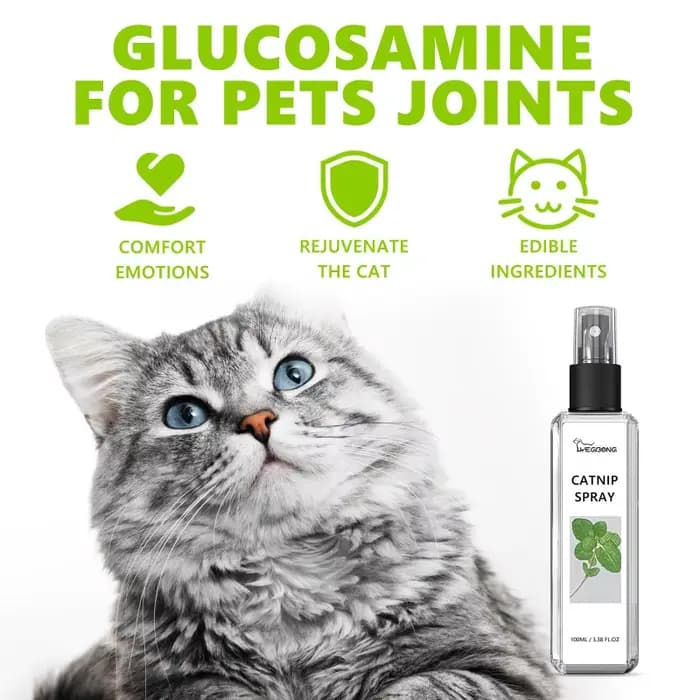 Spray naturel d'herbe à chat pour chats, formule d'eau heureuse pour favoriser l'appétit, soulager l
