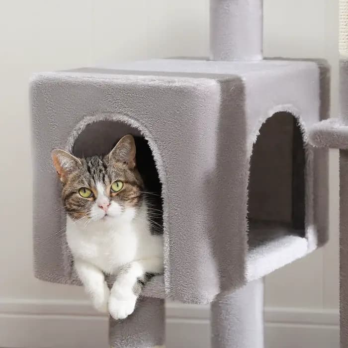 Grand condo pour chats d'intérieur, arbre à chat avec hamac, griffoirs, 2 perchoirs