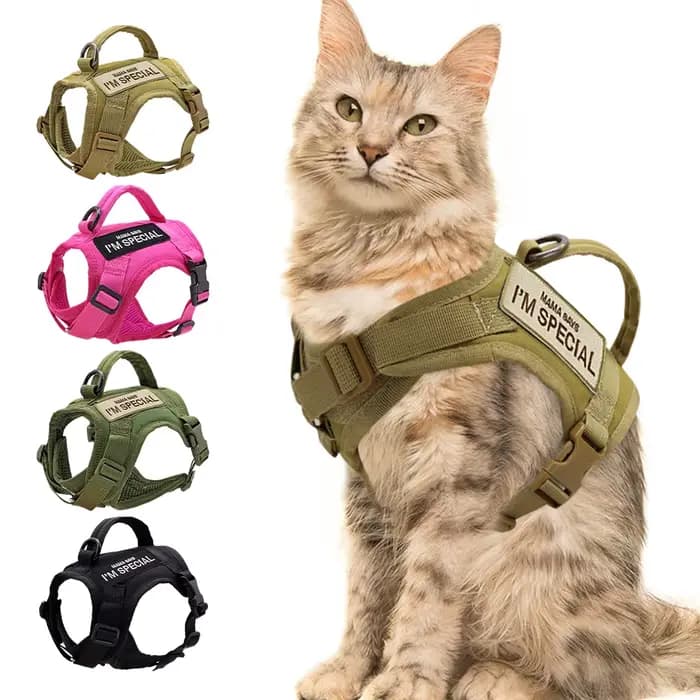 Harnais en Nylon pour chat, gilet avec 2 autocollants, harnais tactique militaire pour chats avec po