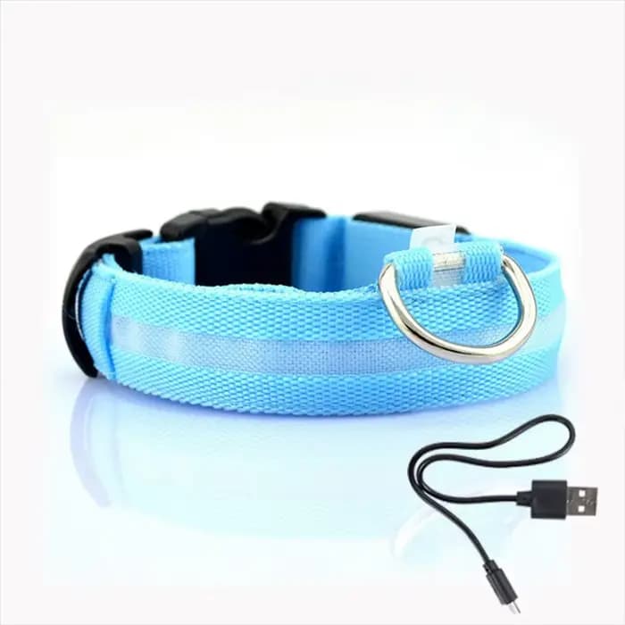 Collier Anti-perte pour chien, lumière Led, fournitures lumineuses de nuit pour chiots, produits pou