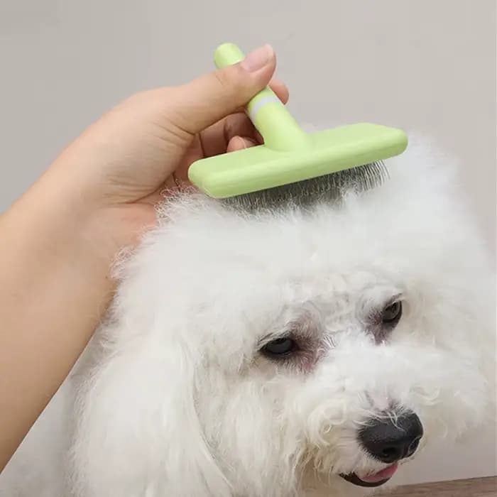 Brosse pour chien, épilateur de Massage pour animaux de compagnie, peignes pour chiens, toilettage p