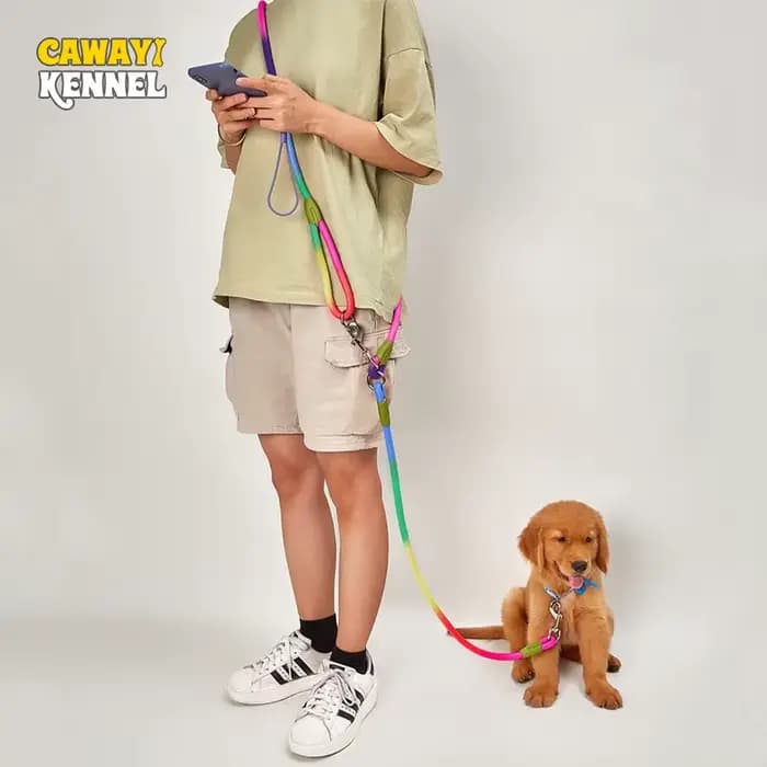 CAWAYI KENNEL Laisse en Nylon Réfléchissant pour Chien, Laisses pour Animal de Compagnie, Corde de T