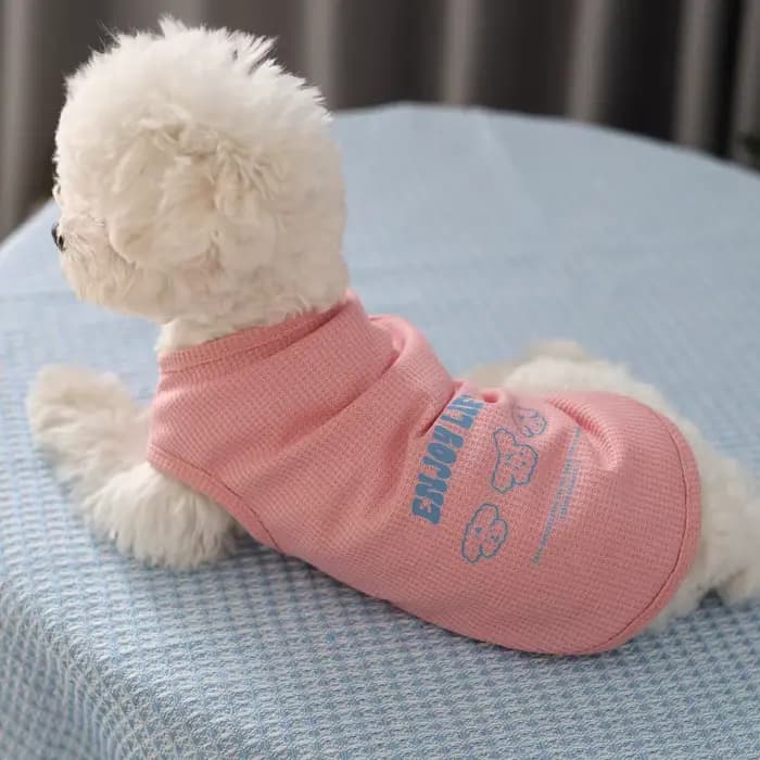 Débardeur gaufré pour animaux de compagnie, mignon et Simple, fin, chat et chien, vêtements universe
