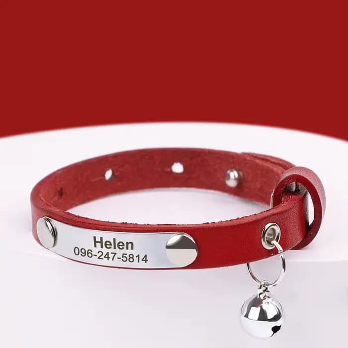 Collier de chat avec plaque signalétique personnalisée, collier de sécurité personnalisé pour chat,