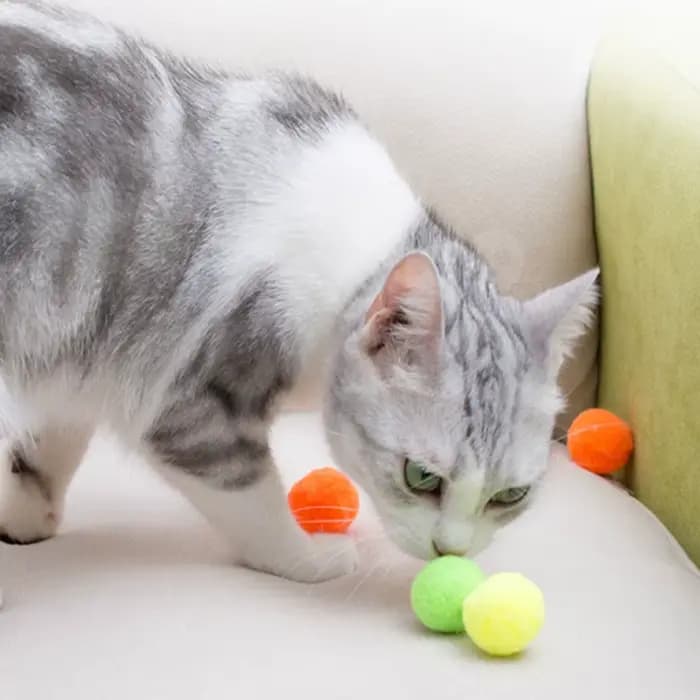 Balle en peluche à pompon pour chat, jouet à mâcher pour chat, mignon, drôle, commandé, créatif, col