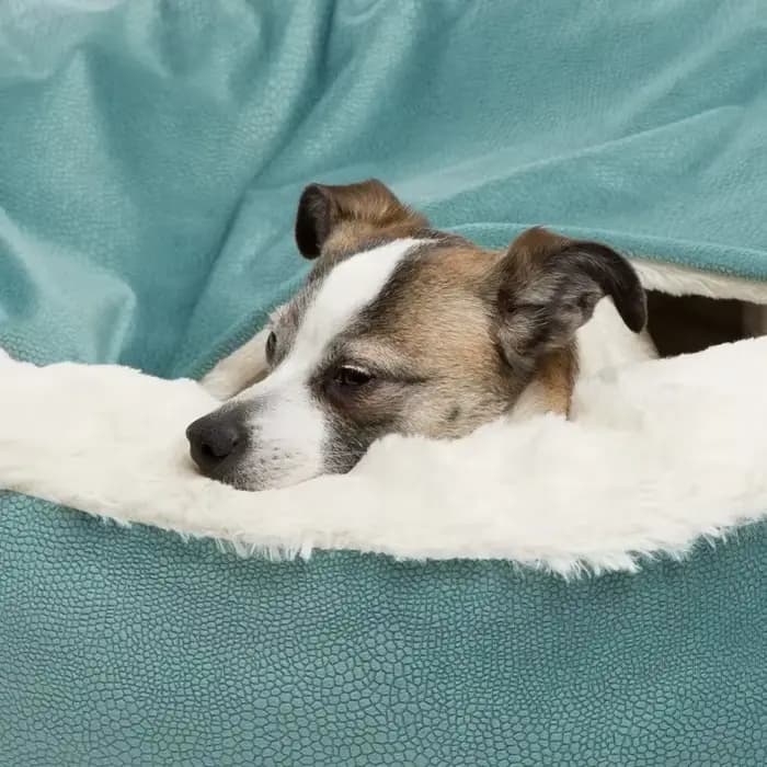 Lit orthopédique pour chien avec couverture à capuche, chaud, imperméable, résistant à la saleté, po