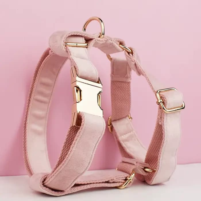 Harnais pour chien robuste en métal de haute qualité, laisse pour harnais pour chien, bricolage