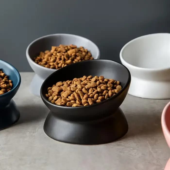 Bols surélevés pour chat petit chien 15 ° Plat d'alimentation alimentaire surélevé incliné, suppor