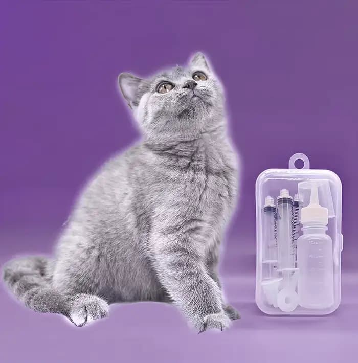 Ensemble de dispositifs d'alimentation pour animaux de compagnie, biberon de soins pour chiens et ch