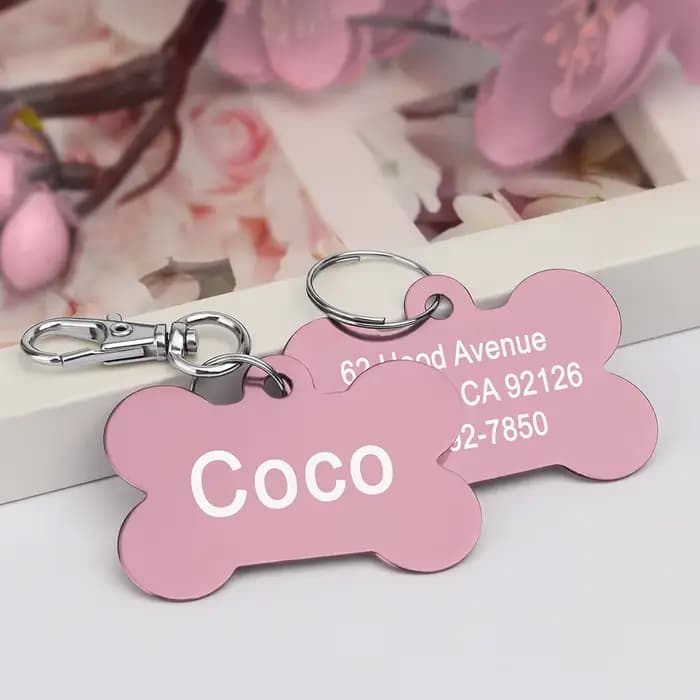 Étiquette d'identification personnalisée pour chiens et chats, en alliage personnalisé, accessoires