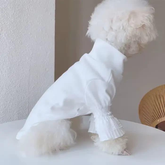 Chien pur blanc chemise à bascule vêtements pour animaux de compagnie blanc chiot chat Teddy printem