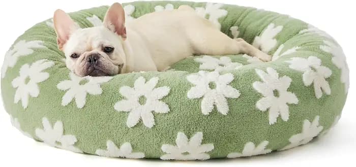 Litière pour chien, litière pour chat, litière ronde pour animaux de compagnie, universelle en toute