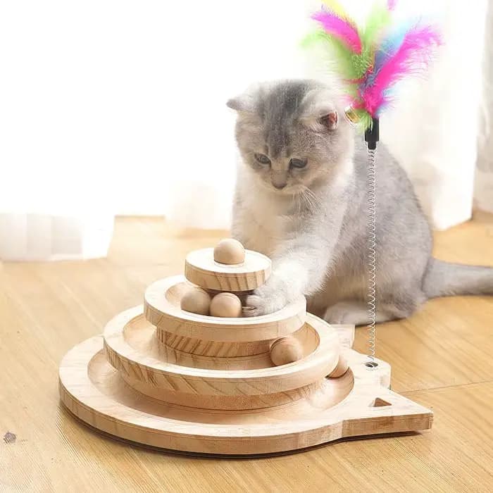 Jouet en bois pour chat de compagnie, 2/3 niveaux, tour de pistes, disque d'attractions d'intelligen