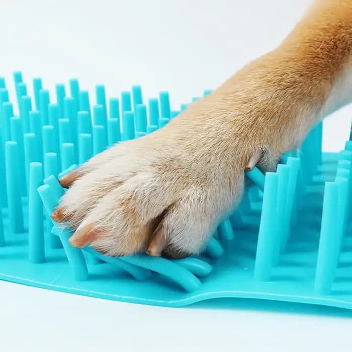 Nettoyeur de pattes pour animaux de compagnie, piston de pattes, tasse de nettoyage des pieds en Sil