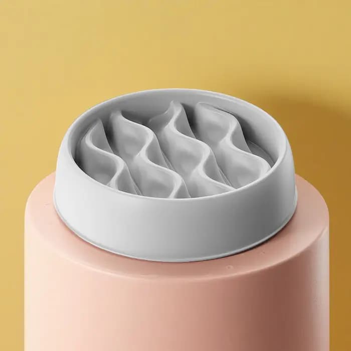 Ensemble de bols pour chat à alimentation lente à la mode : double plat anti-éclaboussures - plastiq