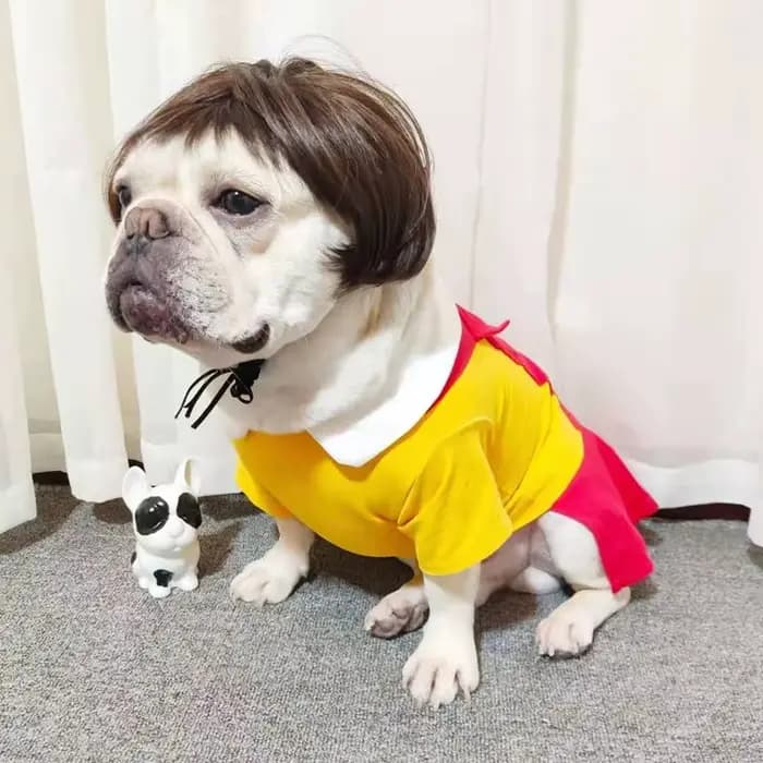 NONOR-Perruques pour animaux de compagnie, accessoires de cosplay, chapeau en élasthanne croisée, ol