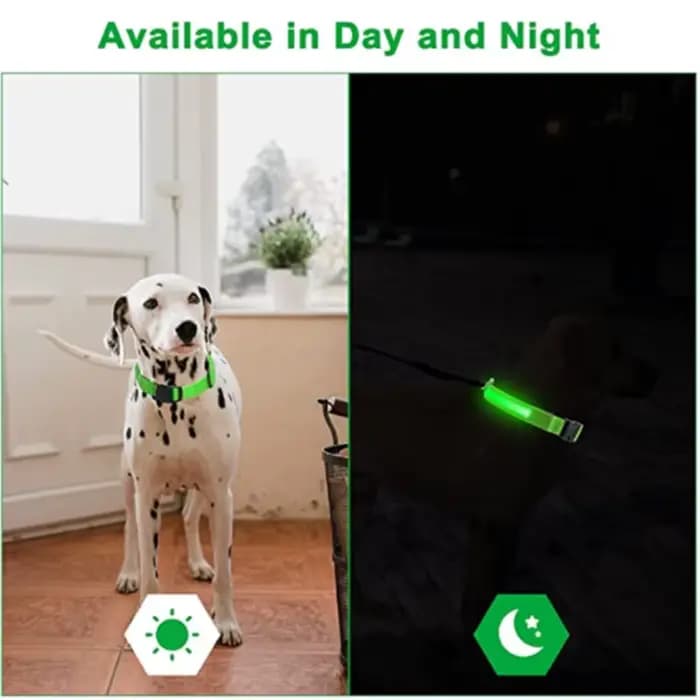 Collier lumineux LED réglable pour chien, rechargeable par USB, clignotant, anti-perte/anti-collisio