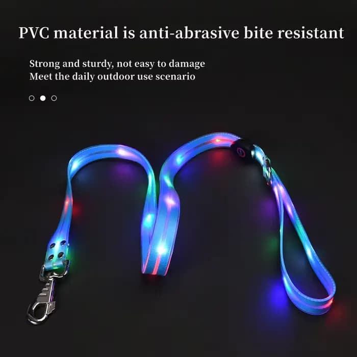 Collier lumineux pour animaux de compagnie, laisse LED clignotante, chargement USB, ceinture de trac