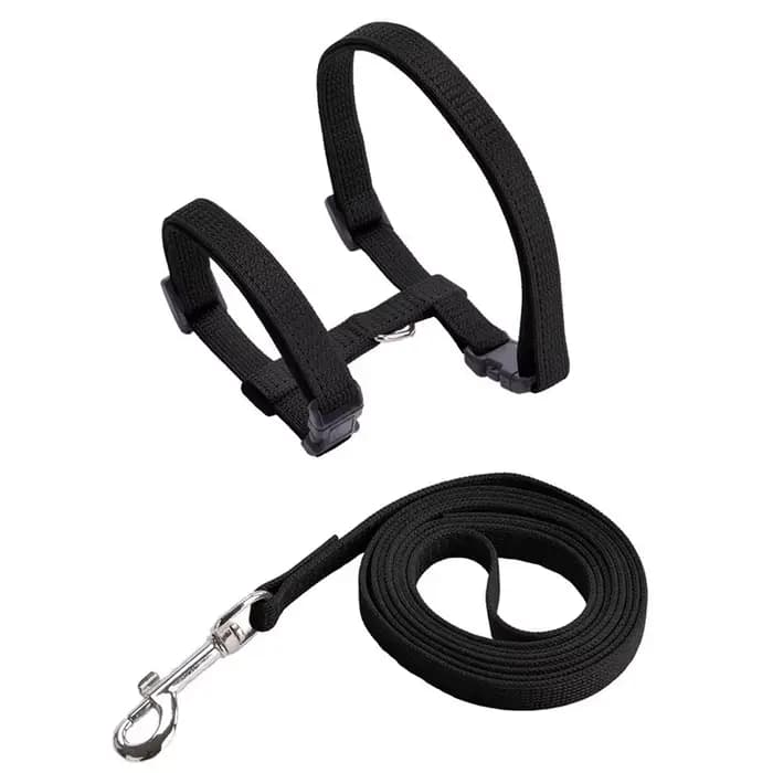 Collier réglable pour animaux de compagnie, en Nylon, confortable, lapin, chaton, harnais Kedi, ense