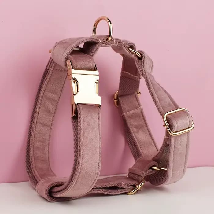Harnais pour chien robuste en métal de haute qualité, laisse pour harnais pour chien, bricolage