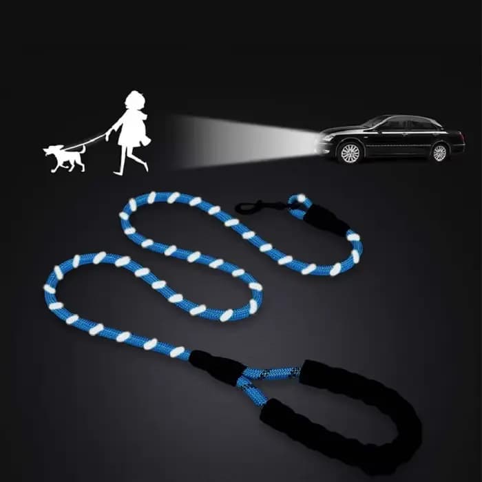Laisse solide pour chien 150/200/300cm, laisse réfléchissante pour animaux de compagnie, pour grands