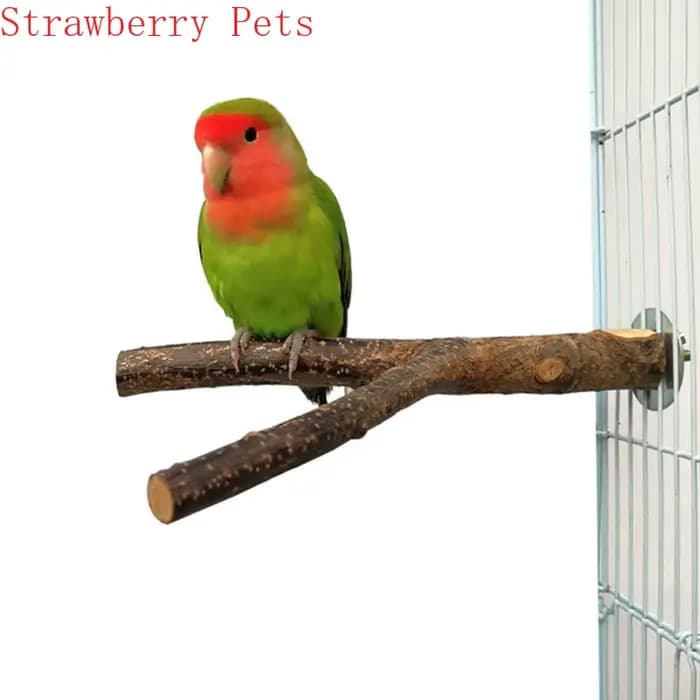 Parrot en bois naturel pour animaux de compagnie, fourchette en bois brut, support de branche d'arbr