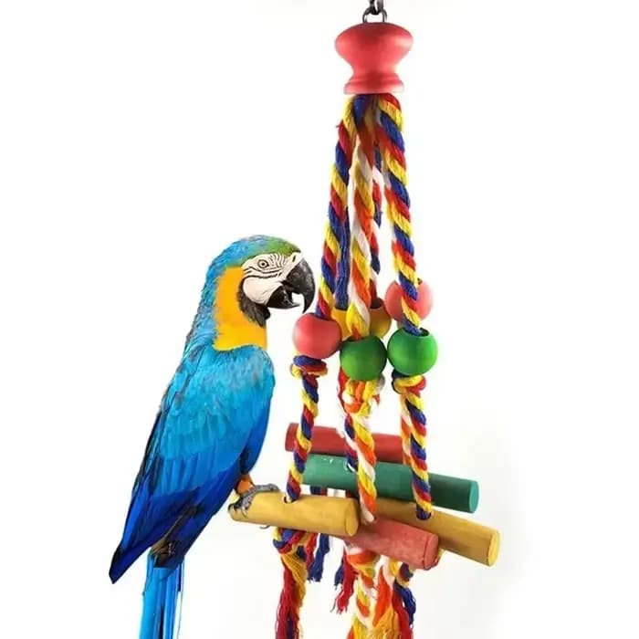 Jouet à mâcher pour perroquets, corde en coton, jouet pour oiseaux, pont de morsure, jouets à déchir