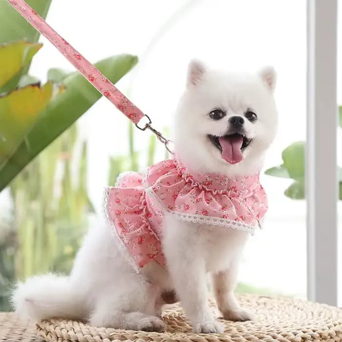 Ensemble Harnais et Laisse en Dentelle Florale pour Chiens et Chats de Petite Taille – Robe Mignonne