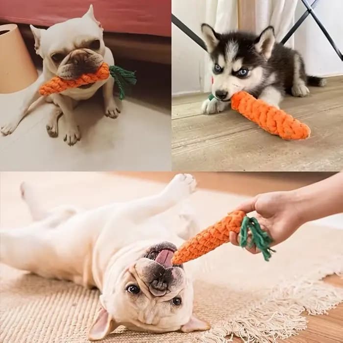 Jouet à nœud pour animaux de compagnie, 1 pièce, en forme de carotte pour chien et chat, jouets à mâ