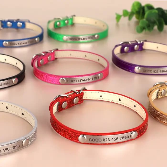 Collier d'identification de chat personnalisé Anti-perte chiot chats colliers de nom d'identificatio