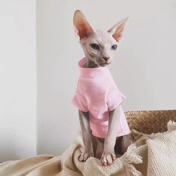 Sphynx chat vêtements coton sans poils chat gilet bébé 100% coton doux été sans manches mince gilet