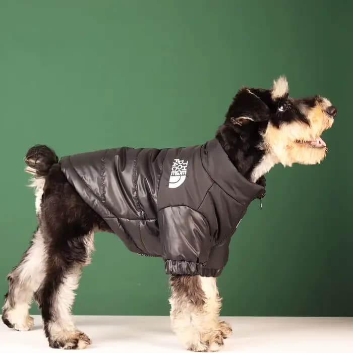 Vêtements d'hiver pour grands animaux de compagnie, veste coupe-vent chaude pour petit et moyen gaba