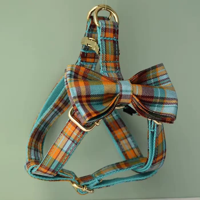 Accessoires pour animaux de compagnie : Ensemble collier, laisse et harnais pour chien personnalisé,