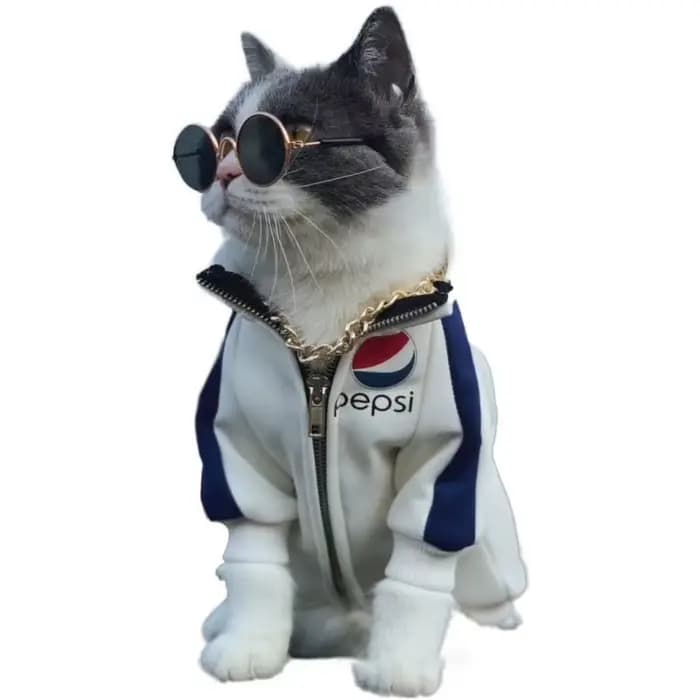 Jolies lunettes de soleil rondes Vintage pour chat, lunettes réfléchissantes pour petit chien, chat,