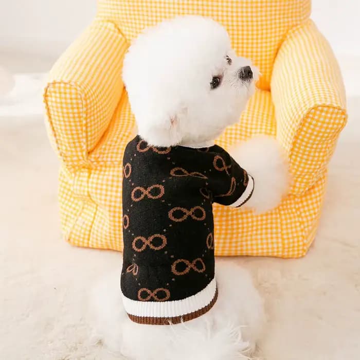 Vêtements de luxe pour petits chiens, pull chaud d'hiver pour Chihuahua bouledogue français, article