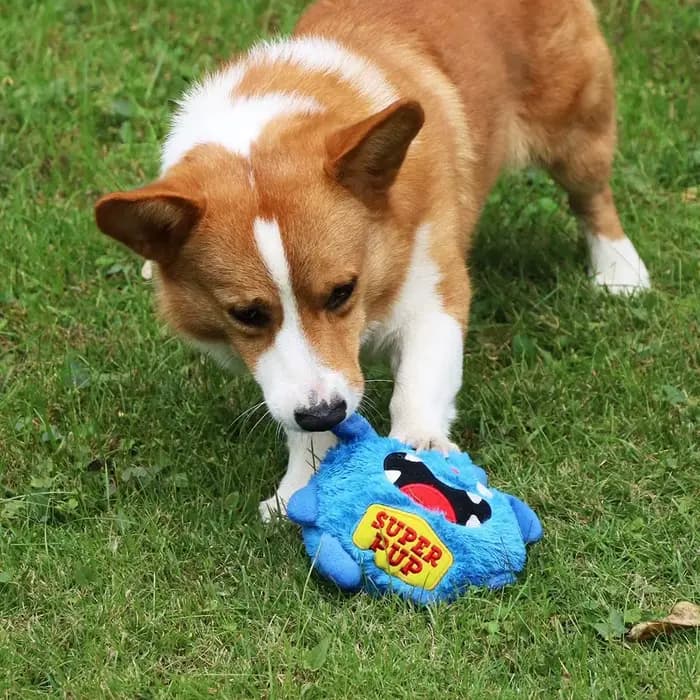 Jouets interactifs pour chiens, balle rebondissante, balle secouante, jouet en peluche, vibration él