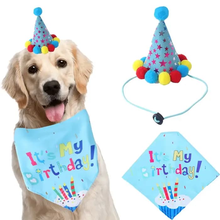 Ensemble de ixd'Anniversaire pour Animaux de Compagnie, Ballon, Bandana, Chapeau, Nministériels d Pa