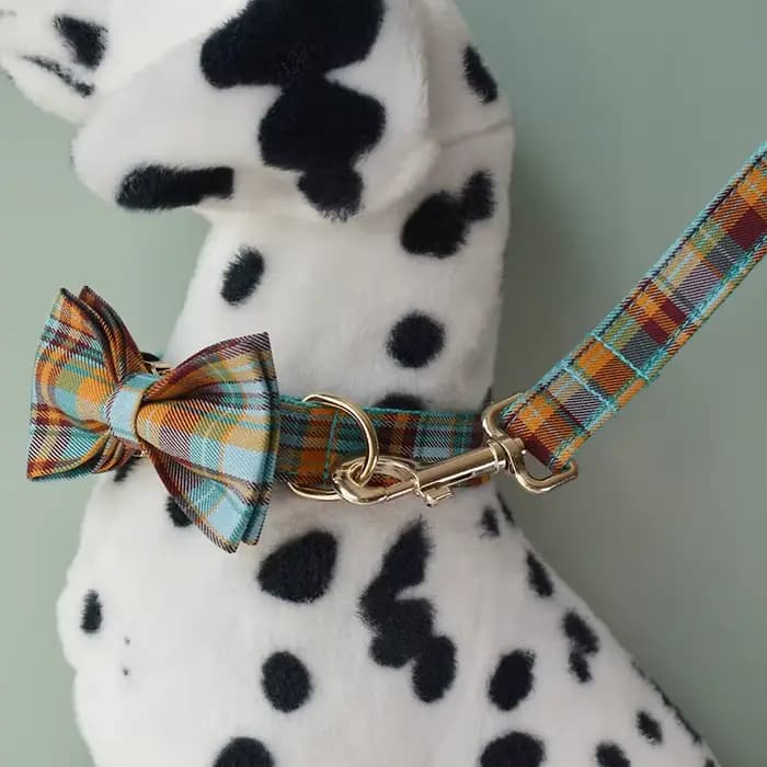 Accessoires pour animaux de compagnie : Ensemble collier, laisse et harnais pour chien personnalisé,