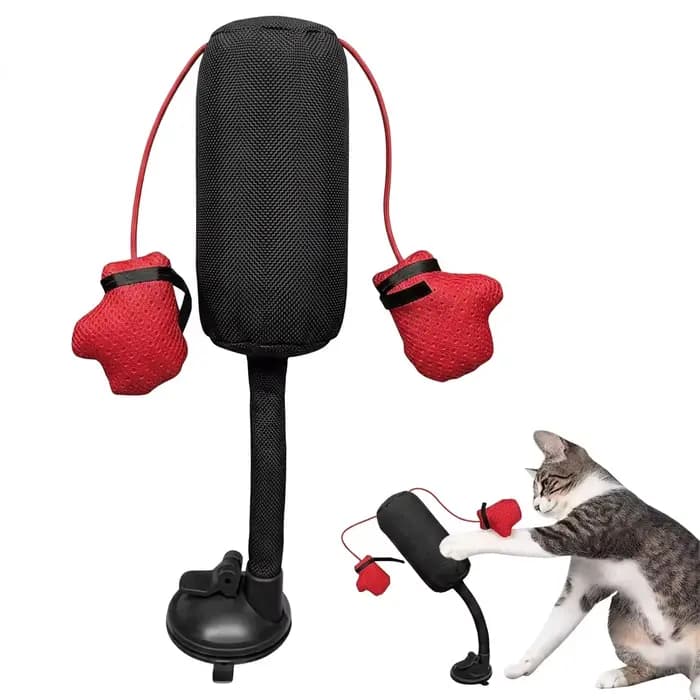 Sac de frappe pour chat de compagnie en forme de dessin animé avec gants de boxe et ventouse, couleu