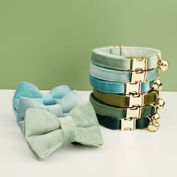 Collier de chat en velours avec nœud papillon, personnalisé pour chats, fournitures pour chats, cein