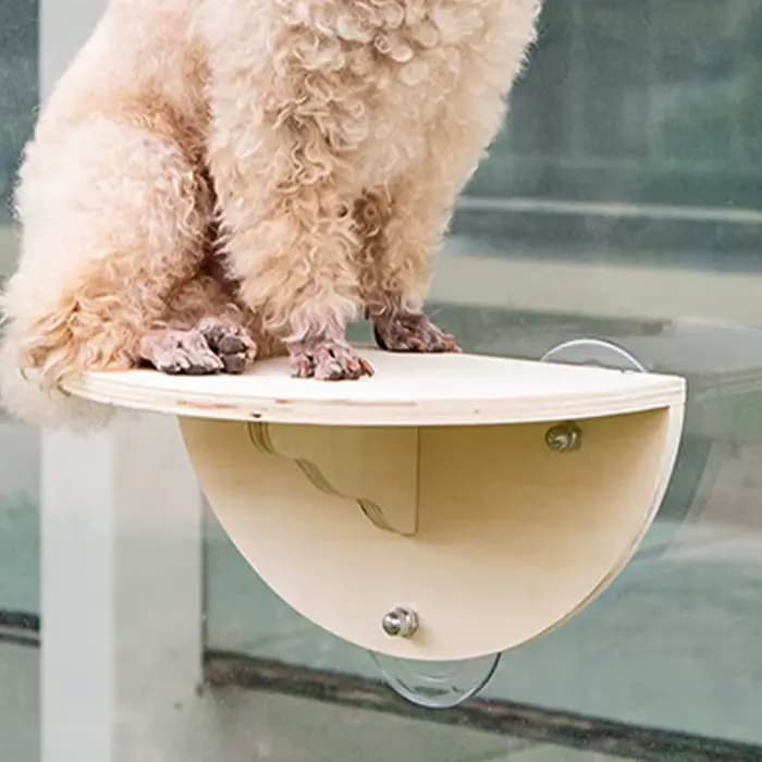Perche de fenêtre pour chat, gain de place, siège pour chaton, étagère de fenêtre en bois avec 3 ven