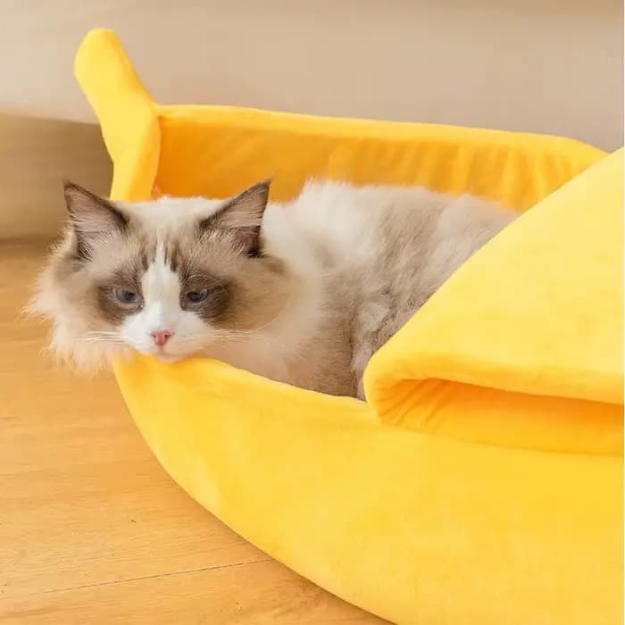 Lit en Polymère Confortable et Chaud pour Chat, mir Portable et Durable, Niche pour Chien, Fournitur