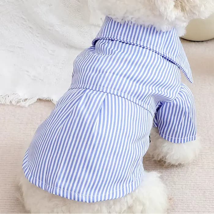 Vêtements pour chiens de compagnie chemises rayées à nœud papillon mince été bleu mode Chihuahua che