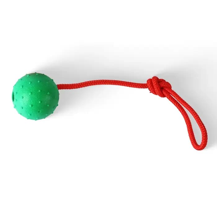 Balle en caoutchouc avec corde, dents d'animaux, jouet de morsure indestructible, entraînement amusa