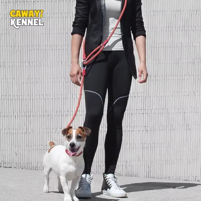 CAWAYI KENNEL Laisse en Nylon Réfléchissant pour Chien, Laisses pour Animal de Compagnie, Corde de T