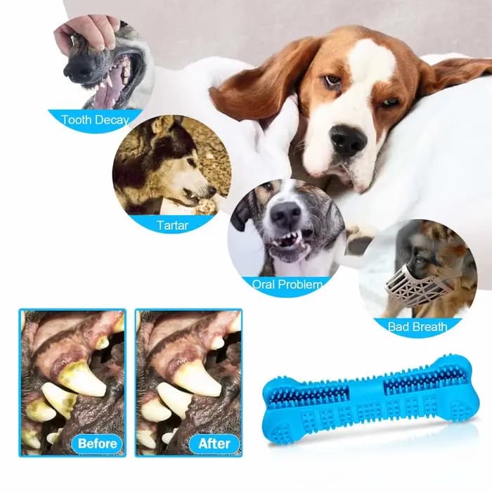 Brosses à dents en caoutchouc souple pour chien, jouets pour chiots, bâton de brosse pour chien, net