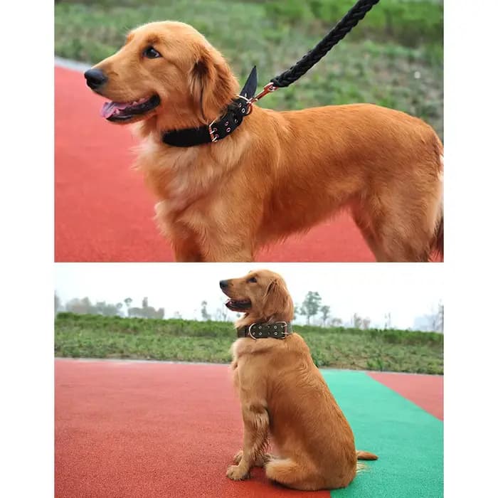 Colliers militaires épais et larges pour chiens de grande taille, collier tactique réglable en Nylon