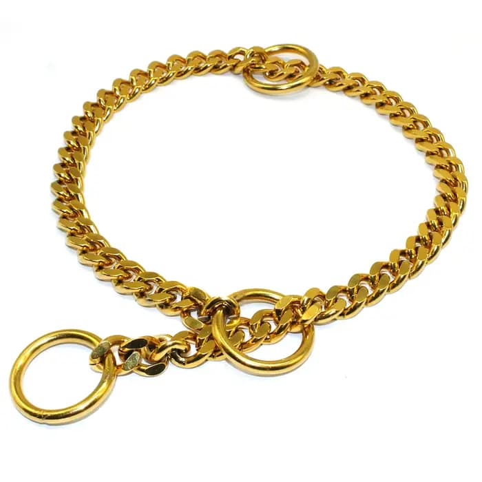 Collier de chaîne en acier inoxydable pour chien, accessoire antidérapant, en métal, en forme de P,
