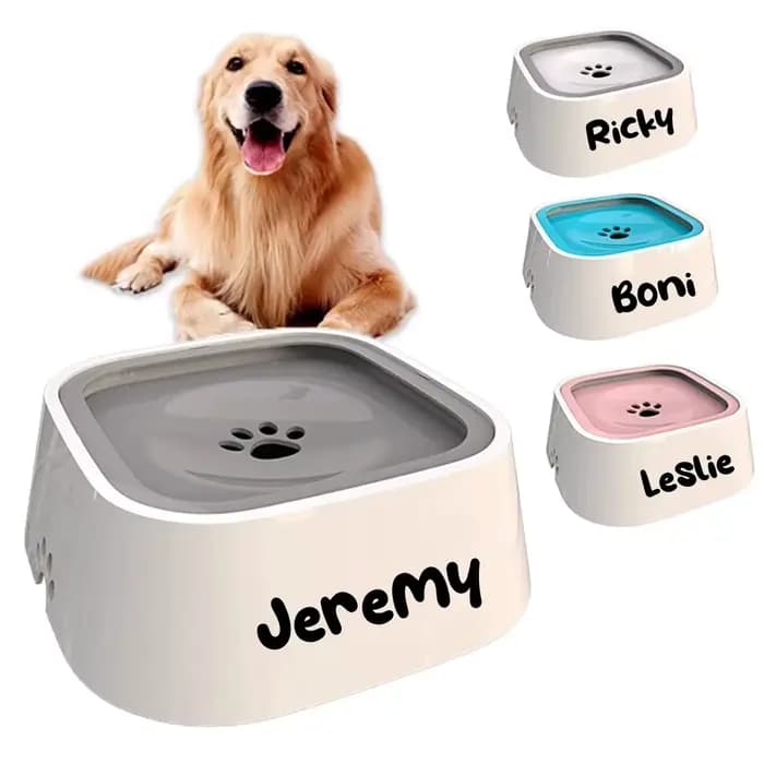 Bol à eau pour chien personnalisé anti-déversement, flottant, ne mouillant pas la gueule, distribute