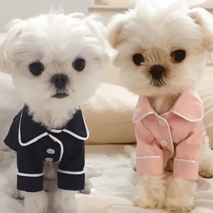 Pyjama doux de luxe pour chien de compagnie, pyjama bouledogue français, manteau pour animaux de com